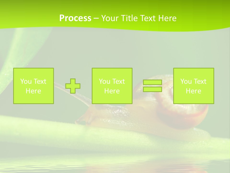 Plant Animal Lonely PowerPoint Template