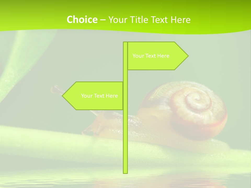 Plant Animal Lonely PowerPoint Template