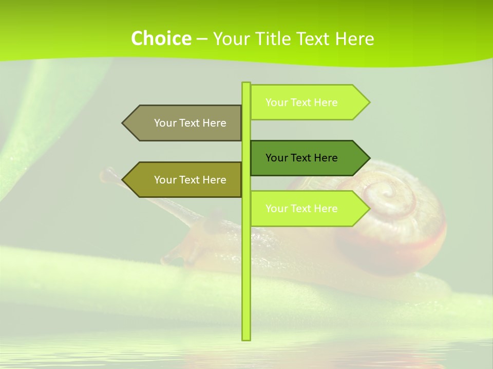 Plant Animal Lonely PowerPoint Template