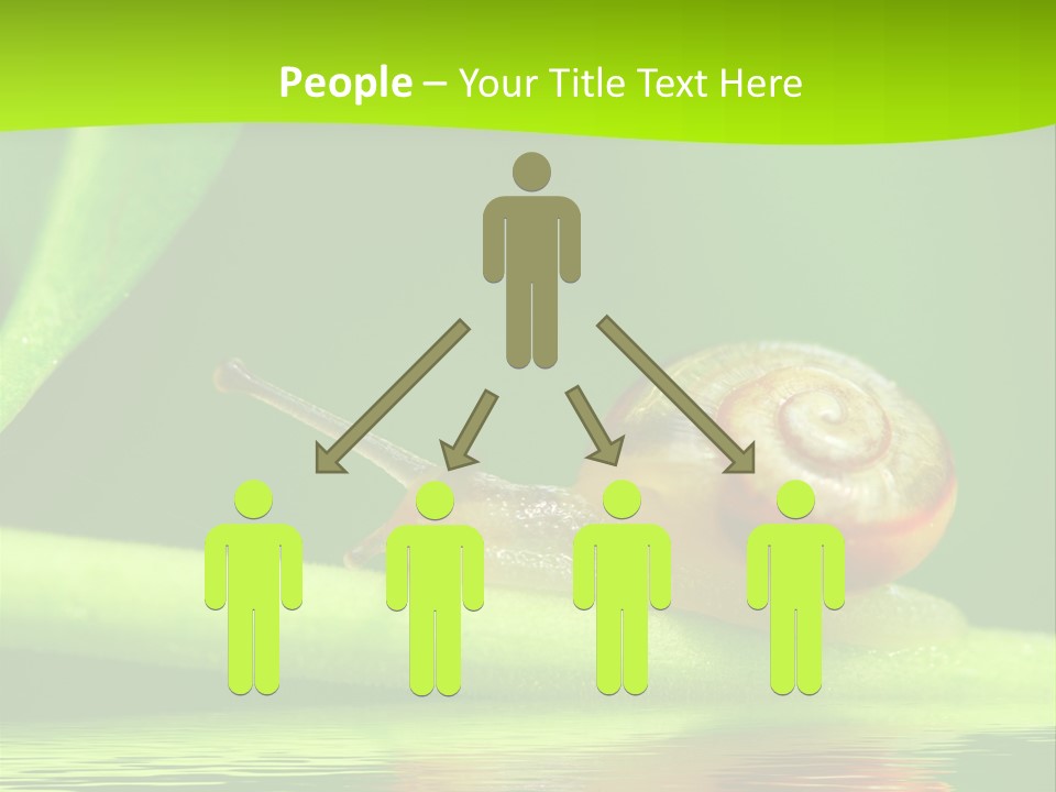 Plant Animal Lonely PowerPoint Template