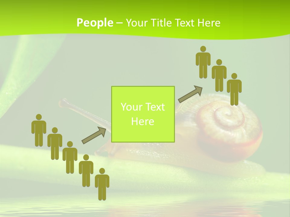 Plant Animal Lonely PowerPoint Template