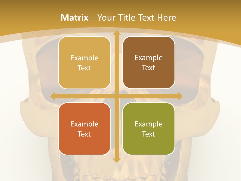 Anatomy Old Shine PowerPoint Template