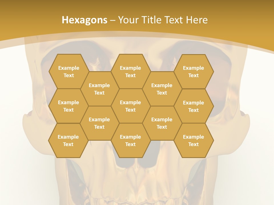 Anatomy Old Shine PowerPoint Template