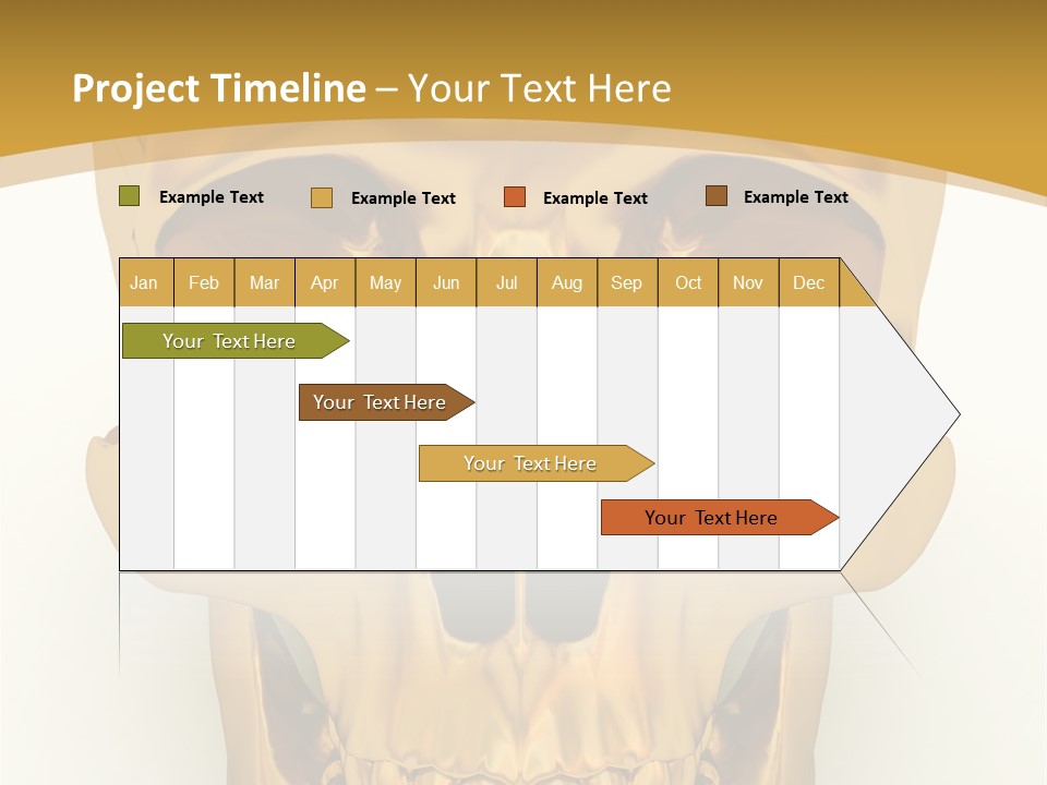 Anatomy Old Shine PowerPoint Template