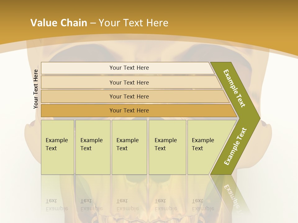 Anatomy Old Shine PowerPoint Template