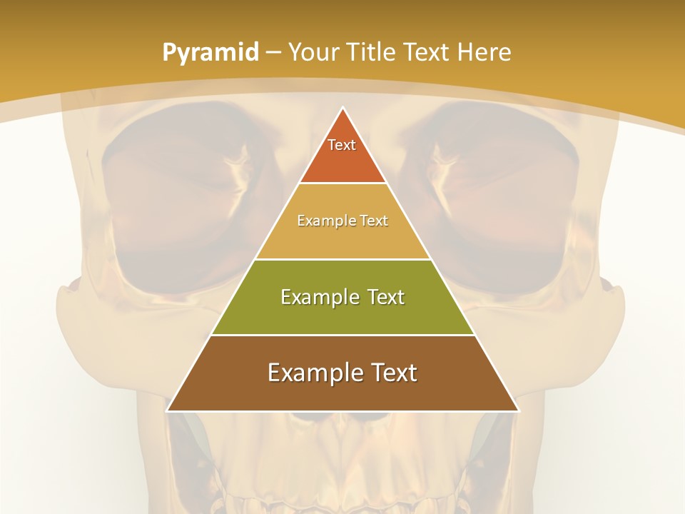 Anatomy Old Shine PowerPoint Template