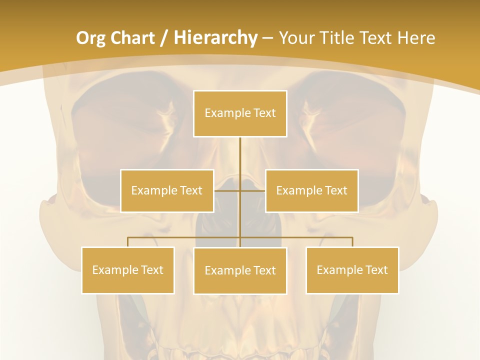 Anatomy Old Shine PowerPoint Template