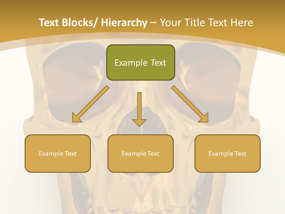 Anatomy Old Shine PowerPoint Template