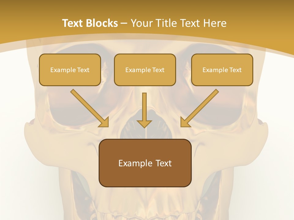 Anatomy Old Shine PowerPoint Template
