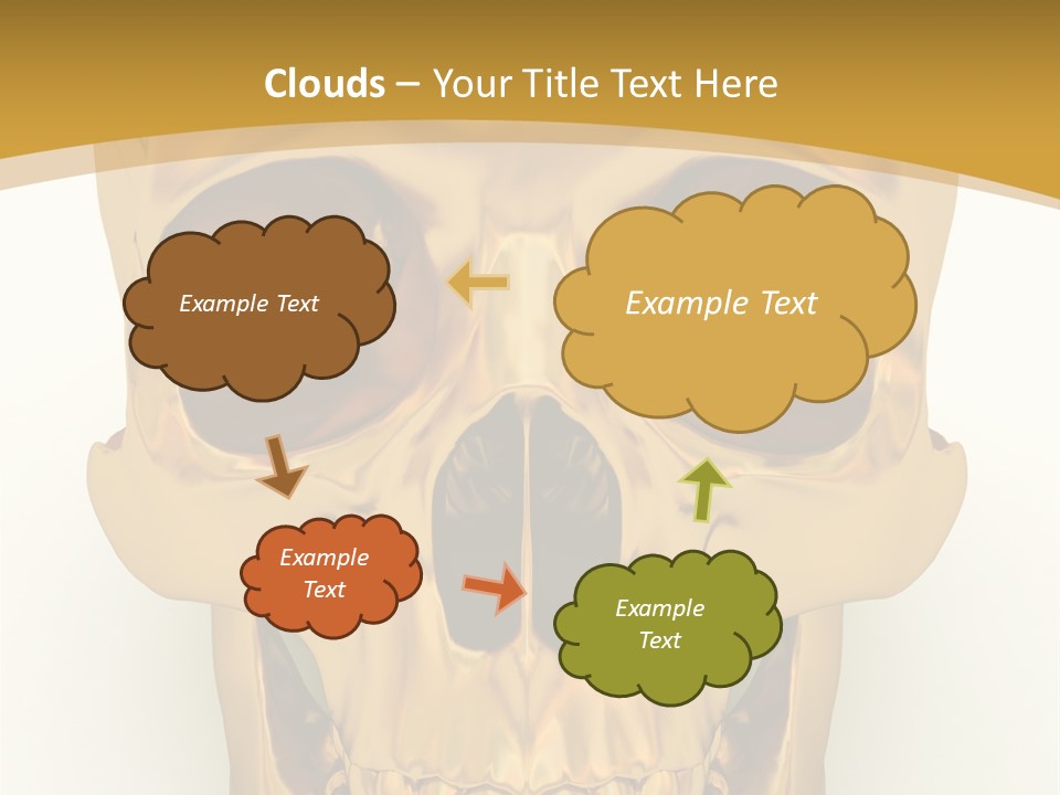 Anatomy Old Shine PowerPoint Template