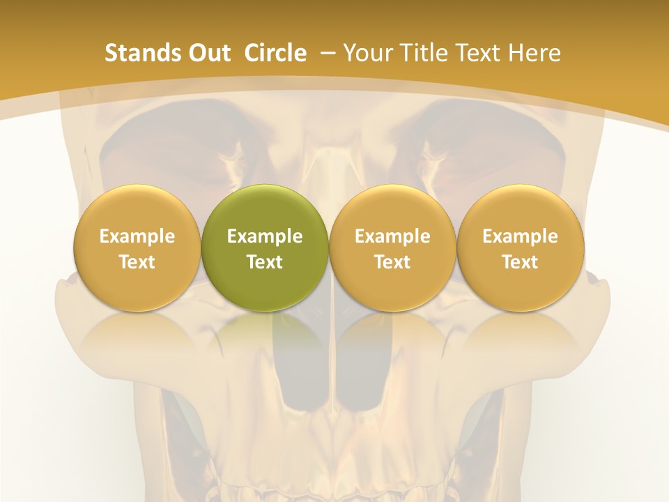 Anatomy Old Shine PowerPoint Template