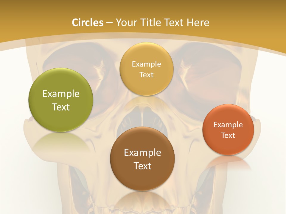 Anatomy Old Shine PowerPoint Template