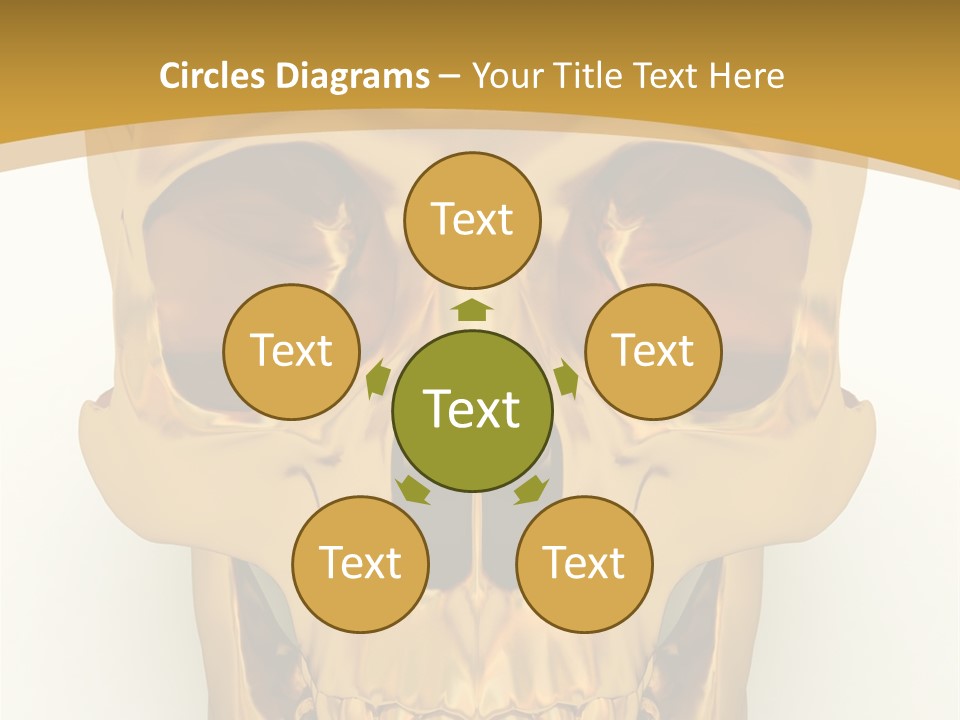 Anatomy Old Shine PowerPoint Template