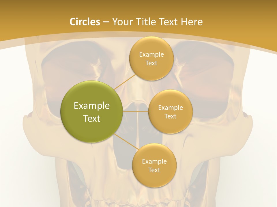 Anatomy Old Shine PowerPoint Template