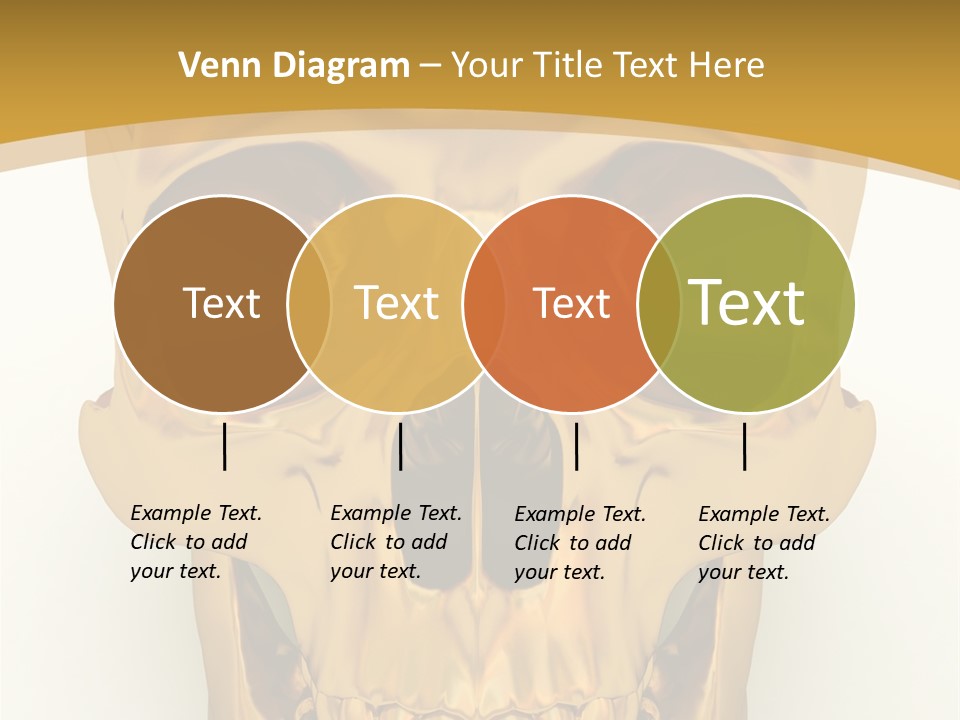 Anatomy Old Shine PowerPoint Template