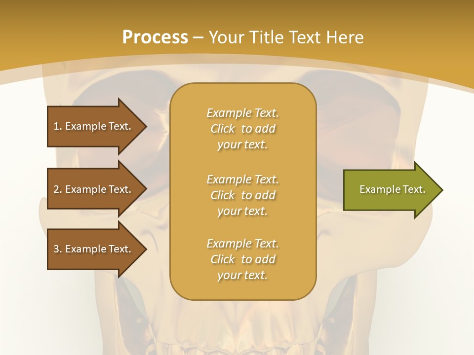 Anatomy Old Shine PowerPoint Template