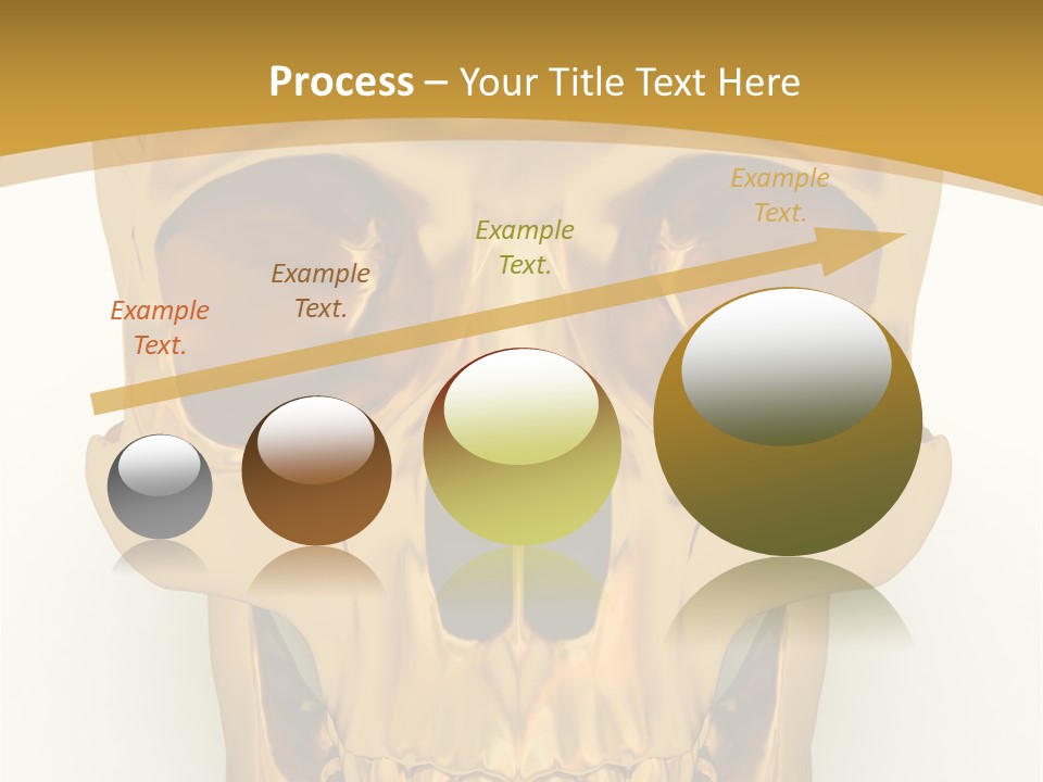 Anatomy Old Shine PowerPoint Template