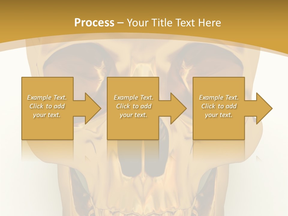 Anatomy Old Shine PowerPoint Template