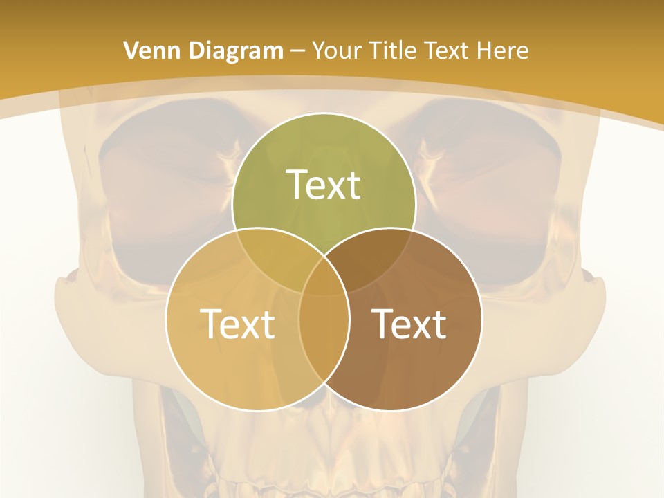 Anatomy Old Shine PowerPoint Template