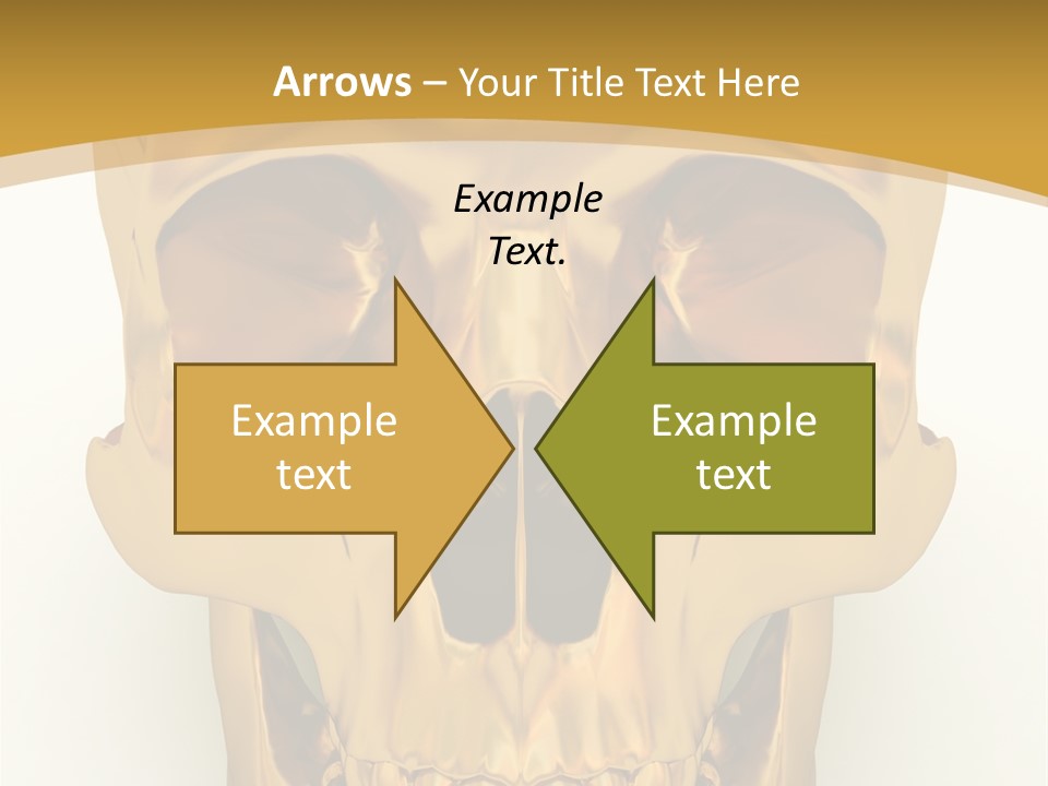 Anatomy Old Shine PowerPoint Template