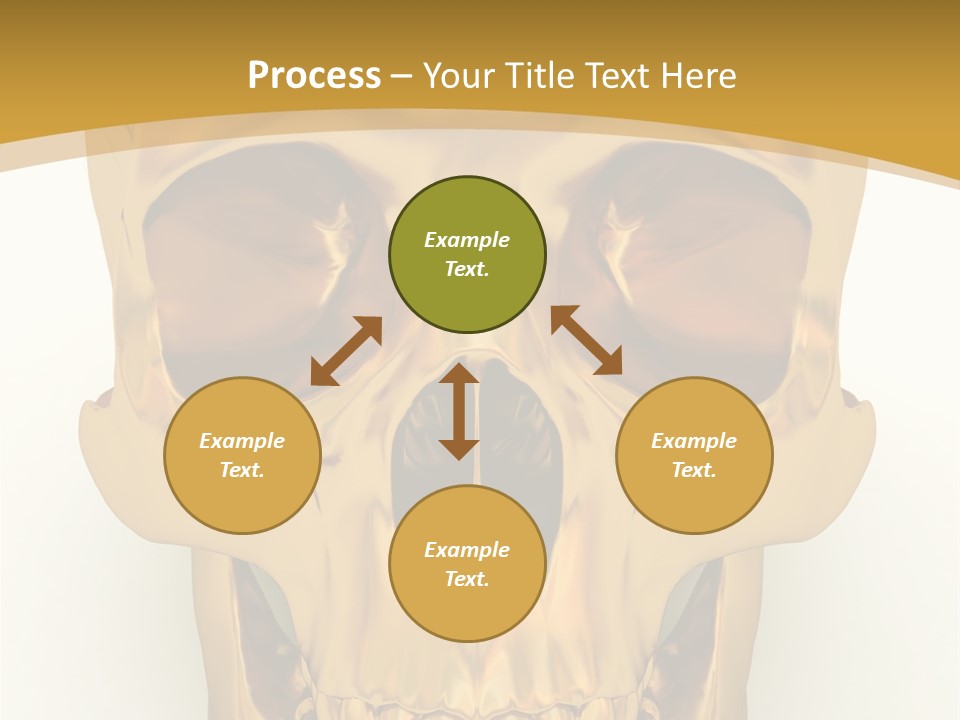 Anatomy Old Shine PowerPoint Template