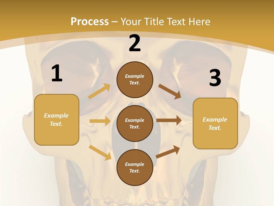 Anatomy Old Shine PowerPoint Template