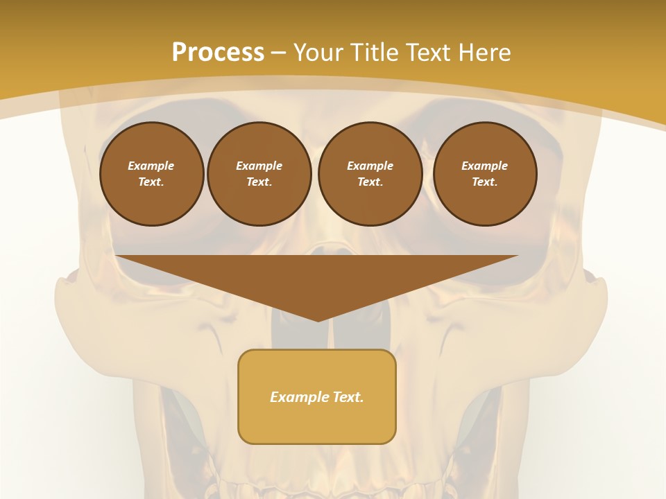 Anatomy Old Shine PowerPoint Template