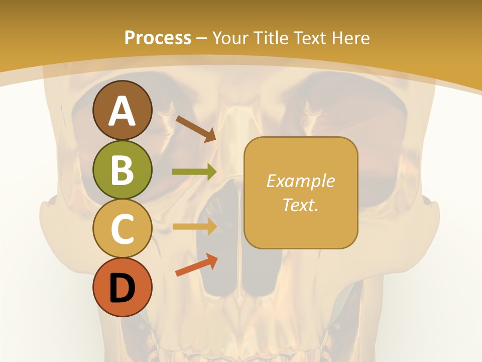 Anatomy Old Shine PowerPoint Template