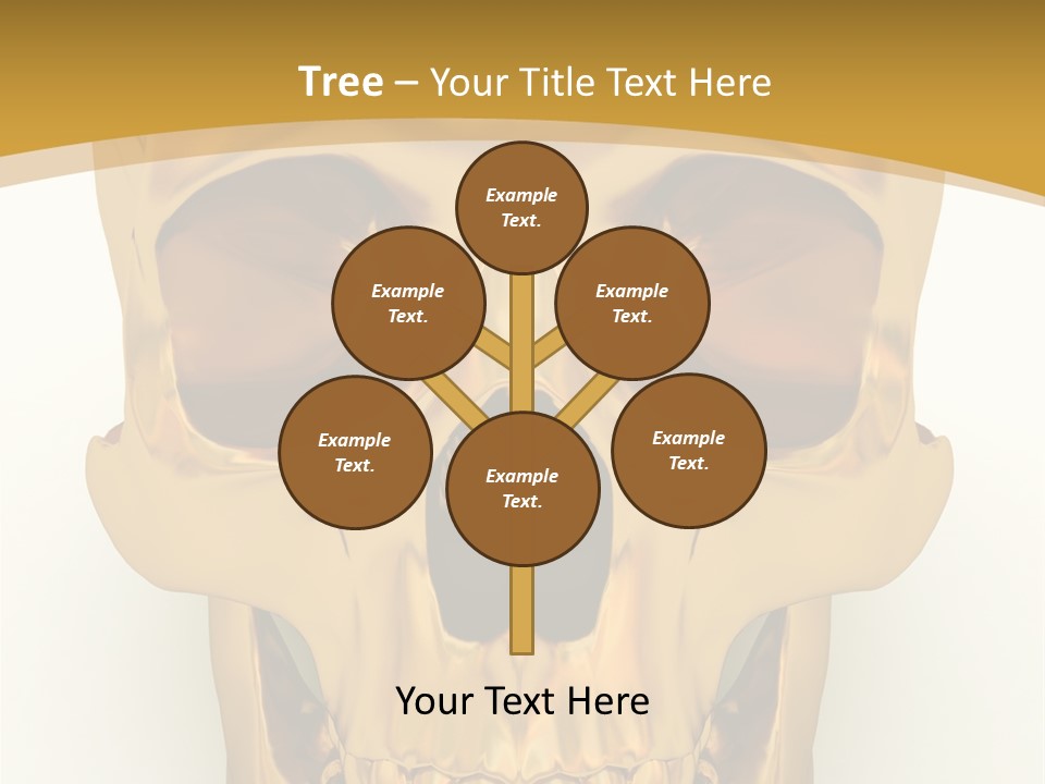 Anatomy Old Shine PowerPoint Template
