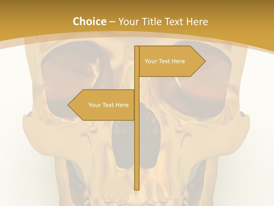 Anatomy Old Shine PowerPoint Template