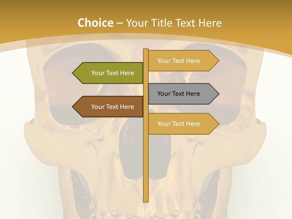 Anatomy Old Shine PowerPoint Template