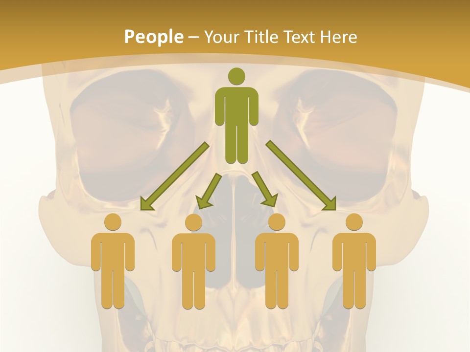 Anatomy Old Shine PowerPoint Template