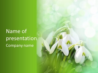 Holiday Tiny Botanical PowerPoint Template