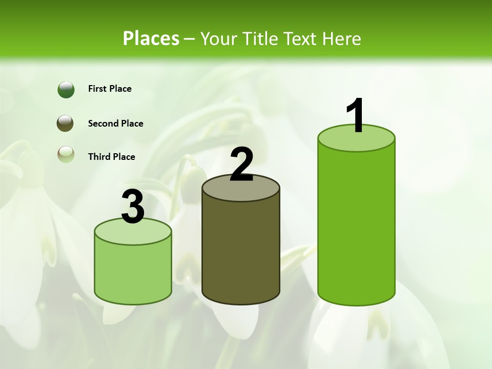 Holiday Tiny Botanical PowerPoint Template