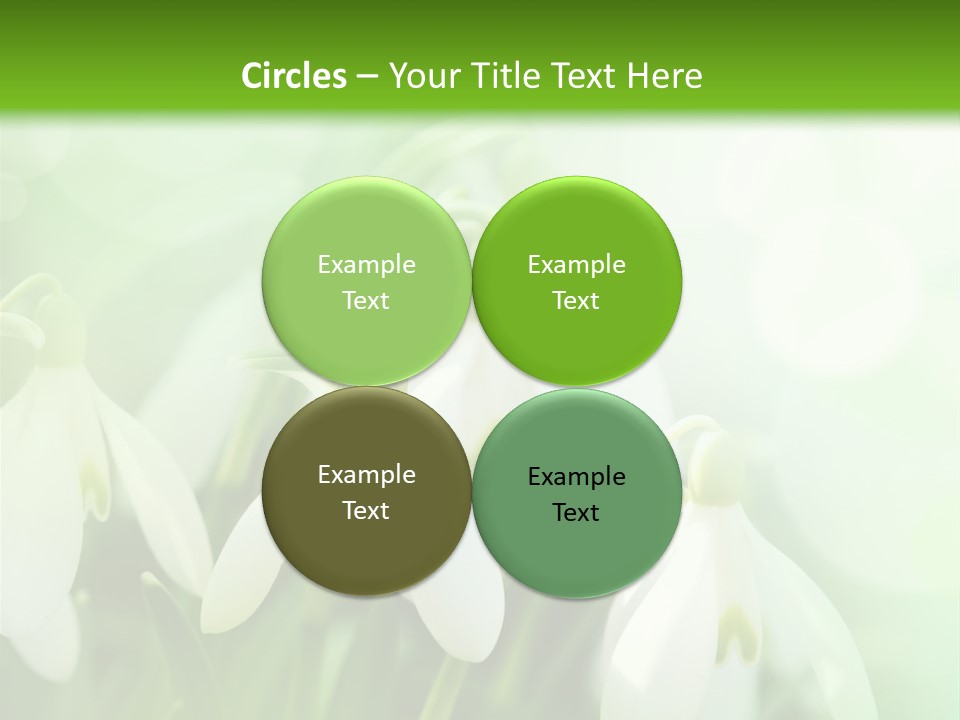 Holiday Tiny Botanical PowerPoint Template