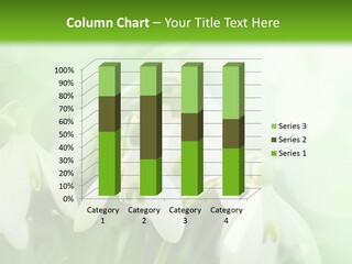 Holiday Tiny Botanical PowerPoint Template