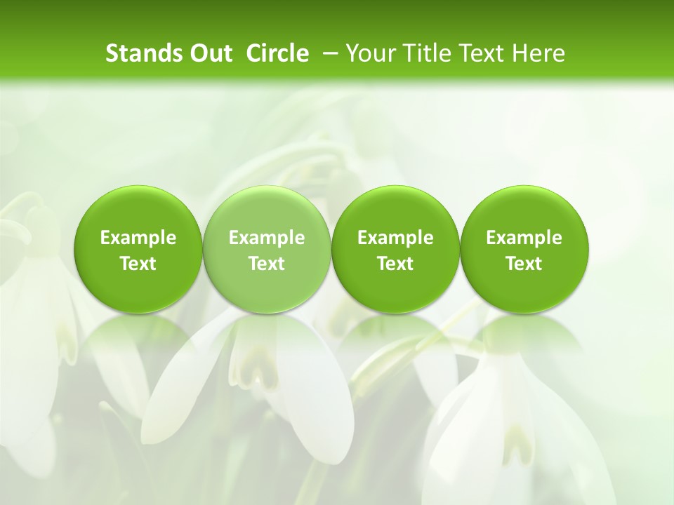 Holiday Tiny Botanical PowerPoint Template