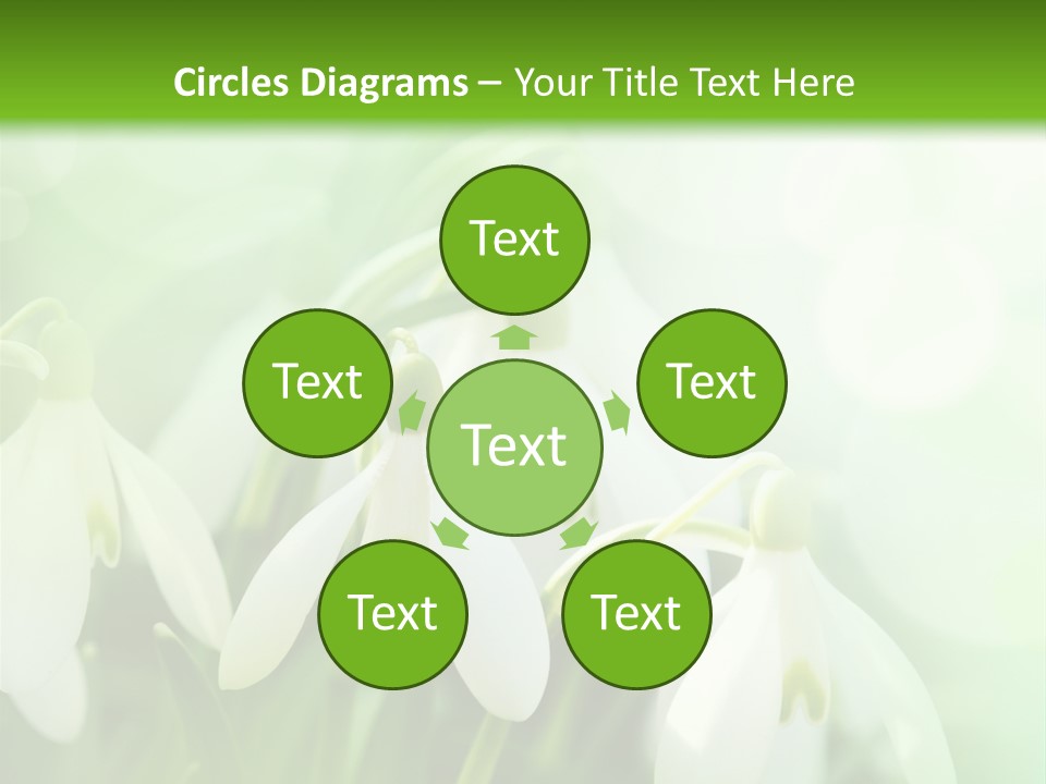 Holiday Tiny Botanical PowerPoint Template