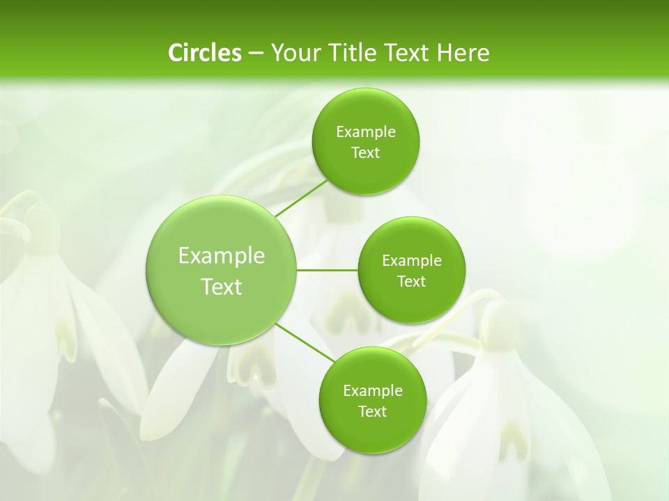 Holiday Tiny Botanical PowerPoint Template