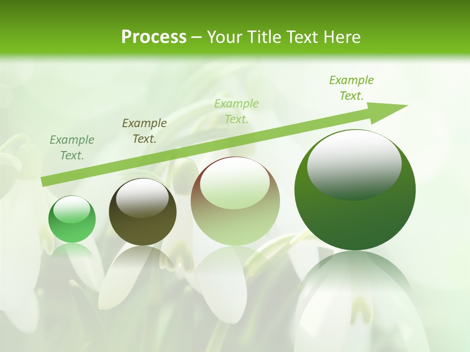 Holiday Tiny Botanical PowerPoint Template