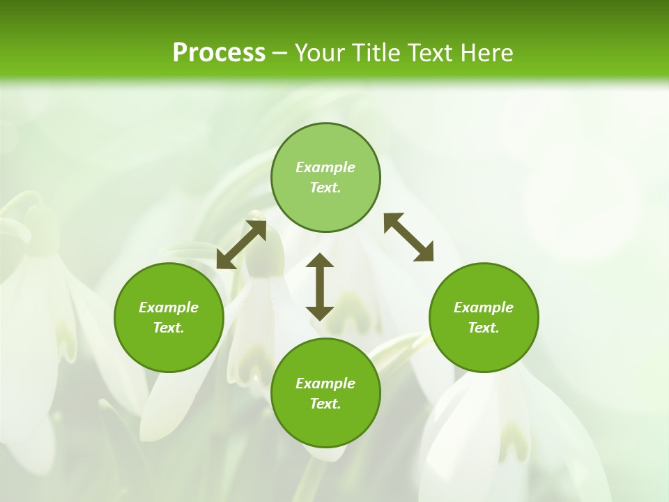 Holiday Tiny Botanical PowerPoint Template