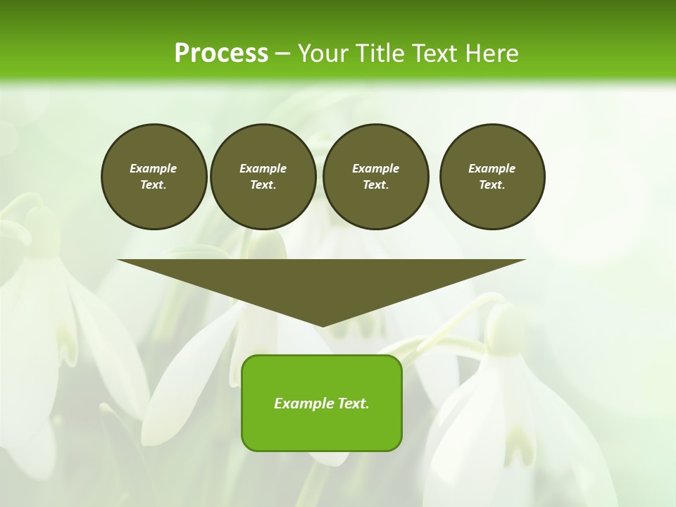 Holiday Tiny Botanical PowerPoint Template