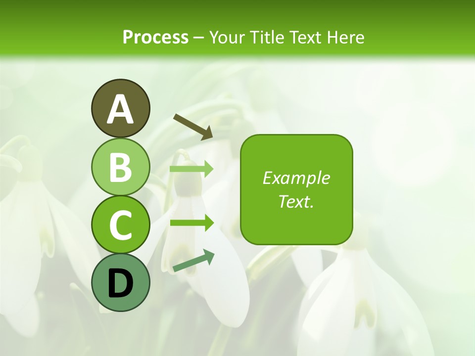 Holiday Tiny Botanical PowerPoint Template