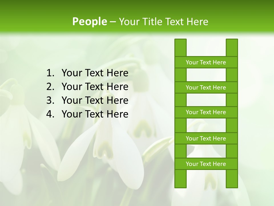 Holiday Tiny Botanical PowerPoint Template