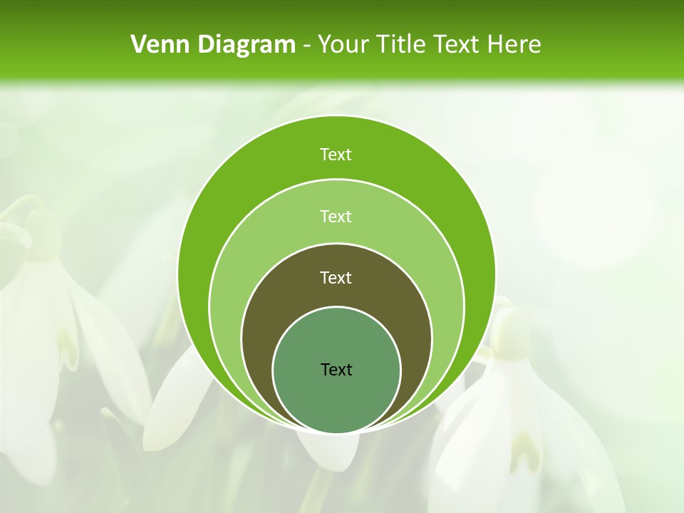 Holiday Tiny Botanical PowerPoint Template