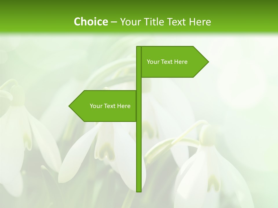 Holiday Tiny Botanical PowerPoint Template