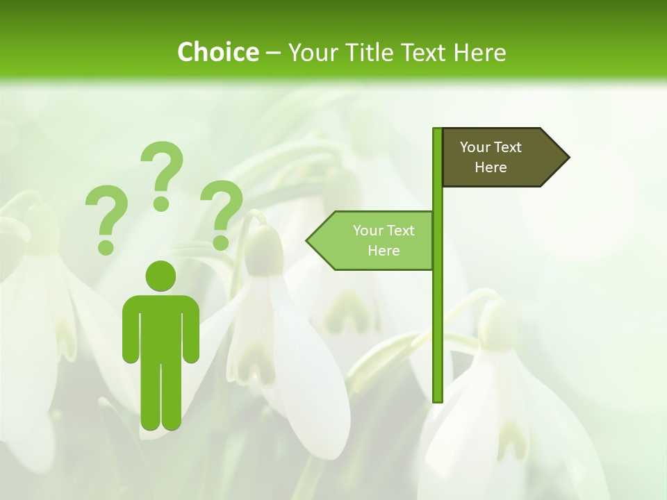 Holiday Tiny Botanical PowerPoint Template