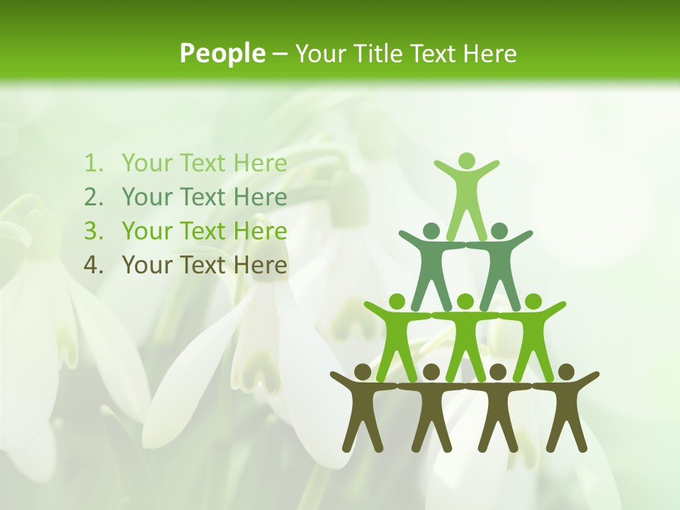 Holiday Tiny Botanical PowerPoint Template