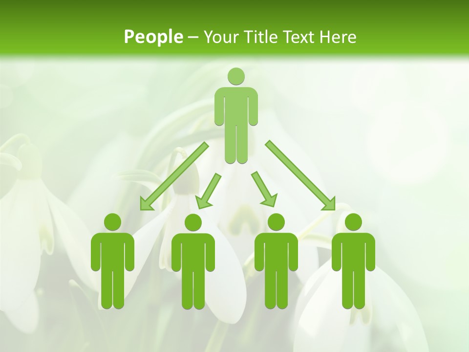 Holiday Tiny Botanical PowerPoint Template