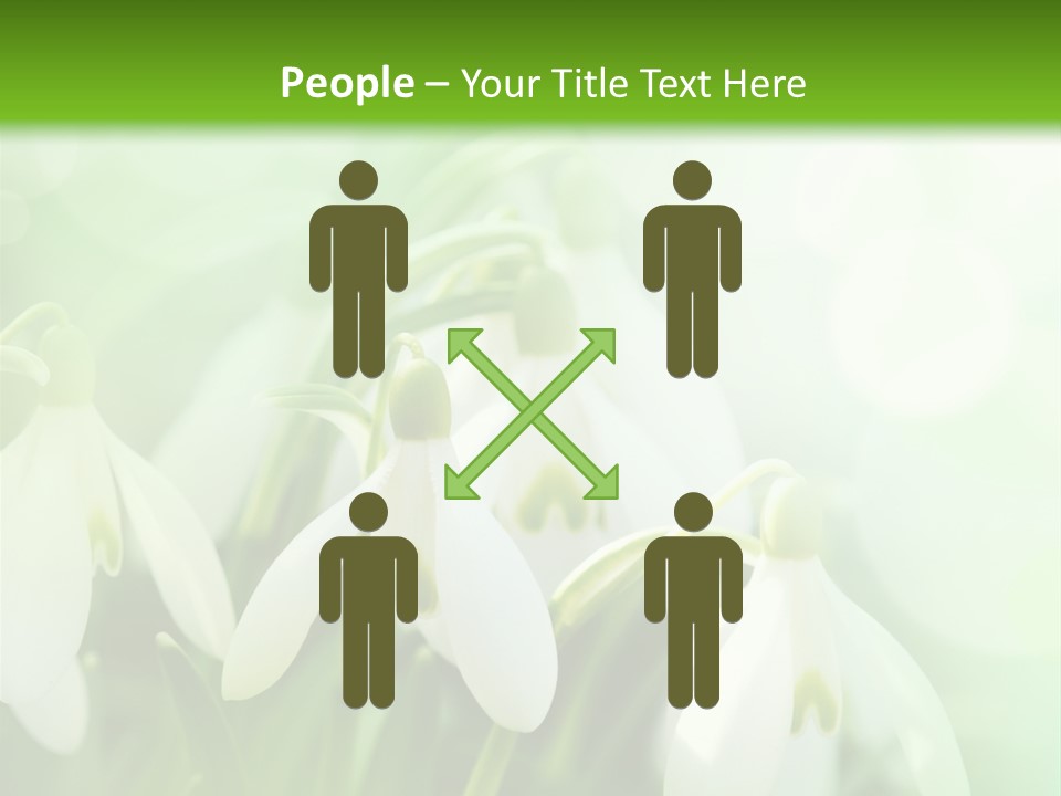 Holiday Tiny Botanical PowerPoint Template